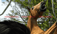 【欧美SLG/汉化/完结】母亲村：露营日v1.0完结 AI版【PC+安卓/1.98G/更新】Mothers Village: Camping Day [v1.0]